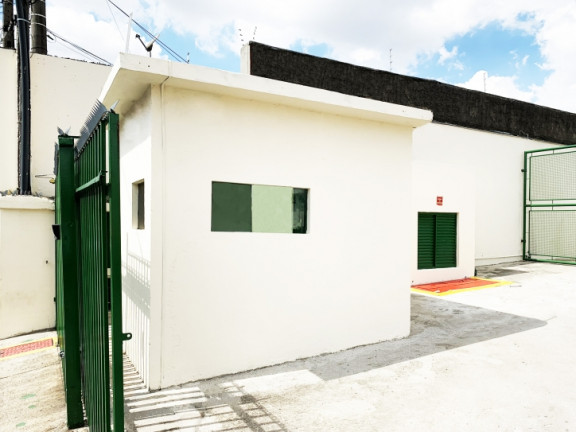 Imagem Galpão para Alugar, 1.233 m² em Vila Palmeiras - São Paulo