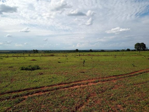Imagem Fazenda à Venda, 2.027 m² em Rural - Campo Grande Imagem Fazenda à Venda, 2.027 m² em Rural - Campo Grande