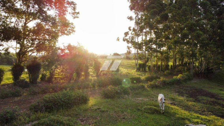 Fazenda à Venda,  em Vila Industrial - Laranjeiras Do Sul