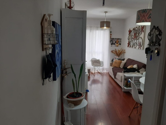 Imagem Imóvel com 2 Quartos à Venda, 60 m² em Vila Mascote - São Paulo