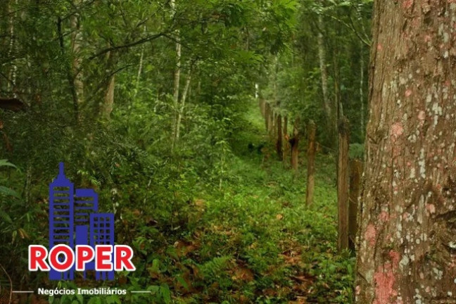 Chácara à Venda, 13.000 m² em Vila Moraes - Mogi Das Cruzes