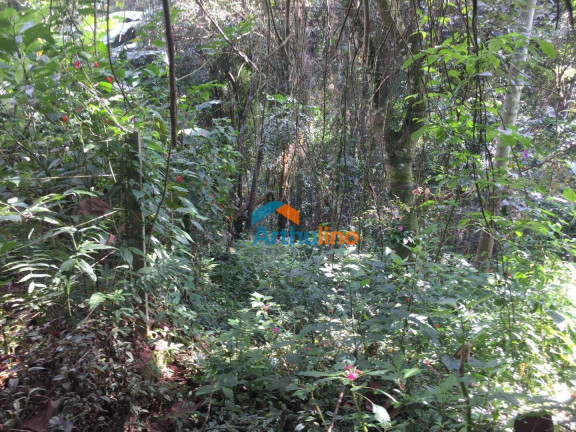 Imagem Terreno à Venda, 2.765 m² em Chácara Represinha - Cotia Imagem Terreno à Venda, 2.765 m² em Chácara Represinha - Cotia