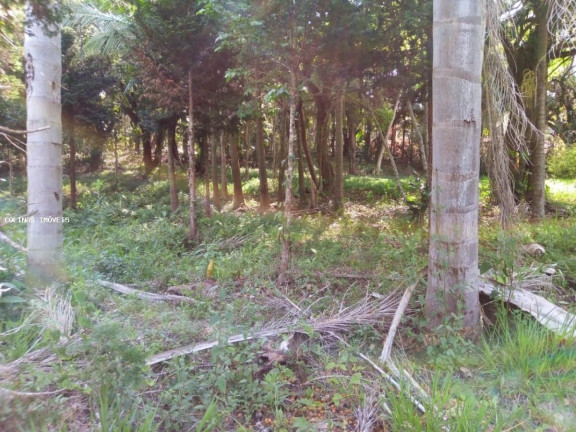Imagem Terreno à Venda,  em Depois Do Centro - Ibiúna