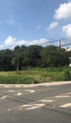 Imagem Terreno para Alugar, 22.000 m² em Panorama (polvilho) - Cajamar Imagem Terreno para Alugar, 22.000 m² em Panorama (polvilho) - Cajamar
