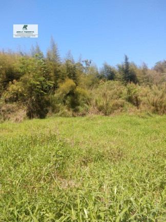Imagem Terreno à Venda, 2.500 m² em Caetê - São Roque