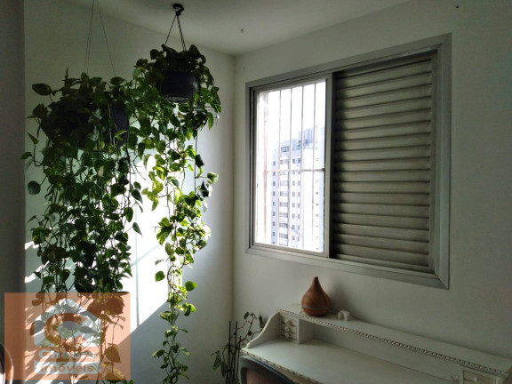 Imagem Apartamento com 3 Quartos à Venda, 87 m² em Vila Firmiano Pinto - São Paulo Imagem Apartamento com 3 Quartos à Venda, 87 m² em Vila Firmiano Pinto - São Paulo
