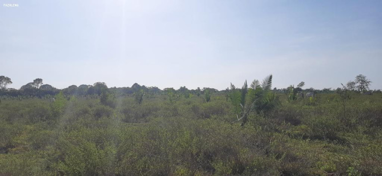 Imagem Fazenda à Venda, 1.400 m² em Alenquer Imagem Fazenda à Venda, 1.400 m² em Alenquer