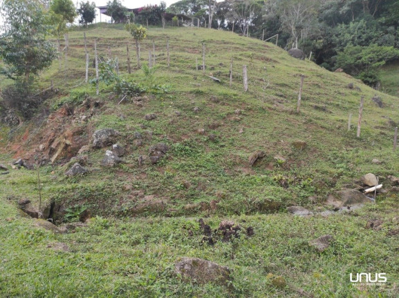 Imagem Fazenda à Venda, 13.000 m² em Pagará - São Pedro De Alcântara Imagem Fazenda à Venda, 13.000 m² em Pagará - São Pedro De Alcântara