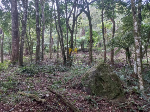 Imagem Chácara à Venda, em Recreio Da Serra - Piraquara Imagem Chácara à Venda, em Recreio Da Serra - Piraquara