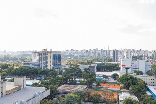 Imagem Apartamento com 3 Quartos à Venda, 244 m² em Vila Clementino - São Paulo