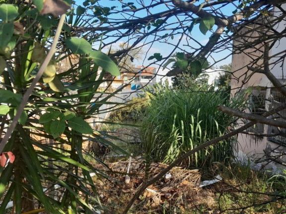 Imagem Terreno à Venda, 500 m² em Vila Portuguesa - São Paulo Imagem Terreno à Venda, 500 m² em Vila Portuguesa - São Paulo