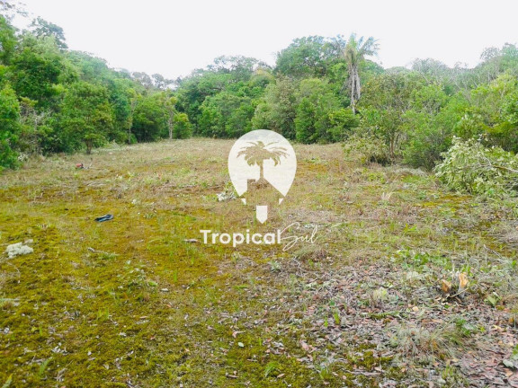 Imagem Terreno à Venda, 320 m² em Guaraguacú - Pontal Do Parana