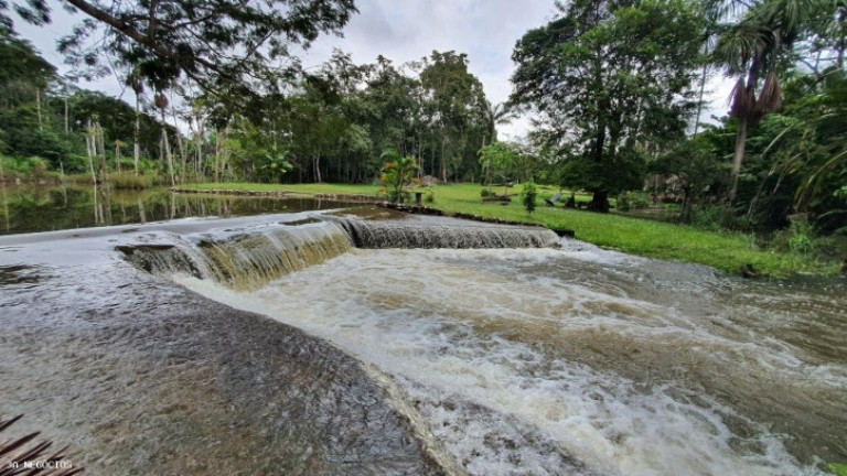 Imagem Chácara à Venda, 32 m² em Centro - Porto Velho Imagem Chácara à Venda, 32 m² em Centro - Porto Velho