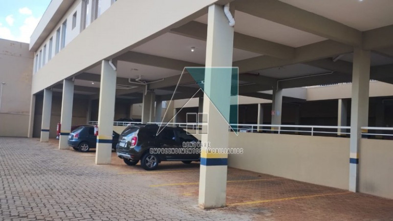 Imagem Apartamento com 2 Quartos para Alugar, 62 m² em Jardim Zara - Ribeirão Preto Imagem Apartamento com 2 Quartos para Alugar, 62 m² em Jardim Zara - Ribeirão Preto