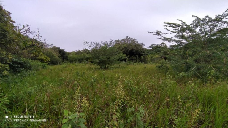 Terreno à Venda, 5.000 m² em Aldeia Dos Camarás - Camaragibe