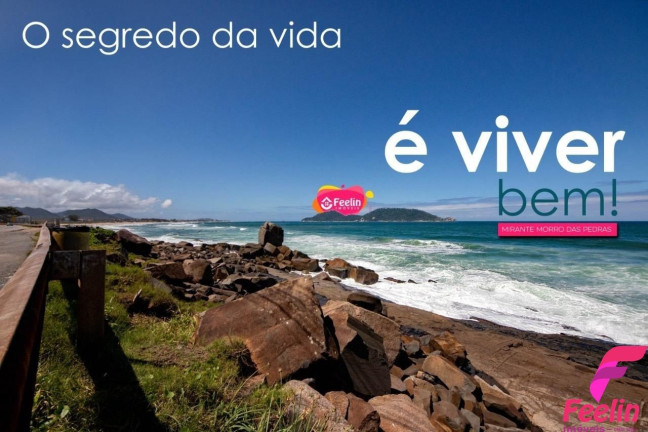 Imagem Chácara com 16 Quartos à Venda, 590 m² em Rio Tavares - Florianópolis