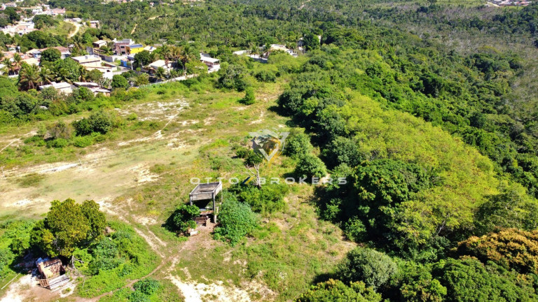 Imagem Terreno à Venda, 65.057 m² em Santa Cruz Cabrália - Santa Cruz Cabrália Imagem Terreno à Venda, 65.057 m² em Santa Cruz Cabrália - Santa Cruz Cabrália