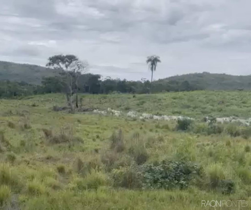Imagem Fazenda à Venda, 11.470.800 m² em Zona Rural - Paranã Imagem Fazenda à Venda, 11.470.800 m² em Zona Rural - Paranã