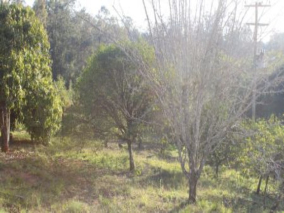 Imagem Imóvel com 2 Quartos à Venda, 148 m² em Guaiba Country Club - Eldorado Do Sul