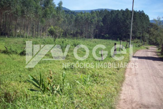 Imagem Imóvel à Venda, 5.000 m² em Três Pinheiros (distrito) - Itati Imagem Imóvel à Venda, 5.000 m² em Três Pinheiros (distrito) - Itati