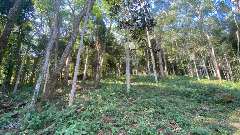 Imagem Terreno à Venda, 172.989 m² em Ressacada - Garopaba Imagem Terreno à Venda, 172.989 m² em Ressacada - Garopaba