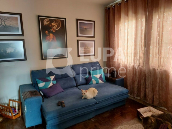 Imagem Apartamento com 2 Quartos à Venda, 75 m² em Jardim São Paulo - São Paulo Imagem Apartamento com 2 Quartos à Venda, 75 m² em Jardim São Paulo - São Paulo