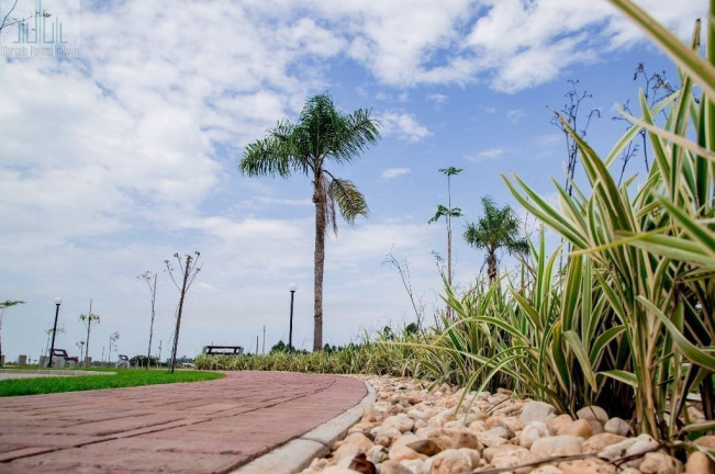 Imagem Terreno à Venda, 270 m² em Praia Caravelle Miratorres - Passo De Torres Imagem Terreno à Venda, 270 m² em Praia Caravelle Miratorres - Passo De Torres