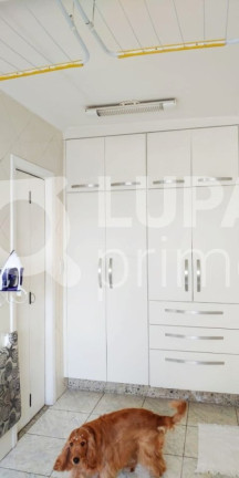 Imagem Apartamento com 4 Quartos à Venda, 150 m² em Vila Paulicéia - São Paulo Imagem Apartamento com 4 Quartos à Venda, 150 m² em Vila Paulicéia - São Paulo