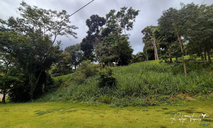 Terreno à Venda, 3.406 m² em Residencial Aldeia Do Vale - Goiânia
