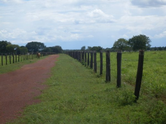 Imagem Imóvel à Venda,  em Região Do Araguaia Xingu - São Félix Do Araguaia