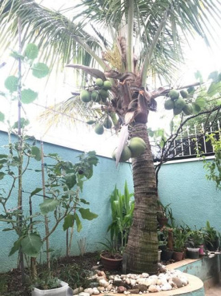 Imagem Casa com 3 Quartos à Venda, 162 m² em Jardim Nova Europa - Campinas Imagem Casa com 3 Quartos à Venda, 162 m² em Jardim Nova Europa - Campinas