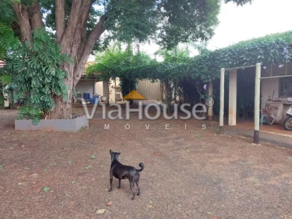 Imagem Chácara com 3 Quartos à Venda, 2.000 m² em Recreio Das Acácias - Ribeirão Preto
