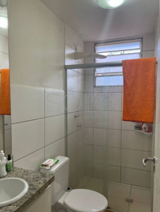 Imagem Apartamento com 2 Quartos à Venda, 49 m² em Jardim Residencial Elvio Lupo - Araraquara Imagem Apartamento com 2 Quartos à Venda, 49 m² em Jardim Residencial Elvio Lupo - Araraquara