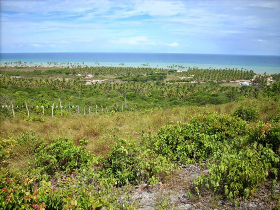 Imagem Terreno à Venda, 100.000 m² em Barra Do Itariri - Conde Imagem Terreno à Venda, 100.000 m² em Barra Do Itariri - Conde