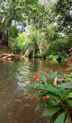Imóvel com 5 Quartos à Venda, 130.000 m² em Zona Rural - Bandeirantes