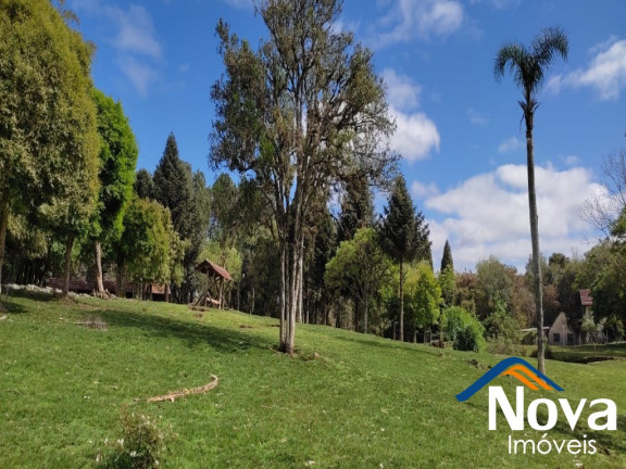 Imagem Imóvel à Venda,  em Linha Imperial - Nova Petrópolis
