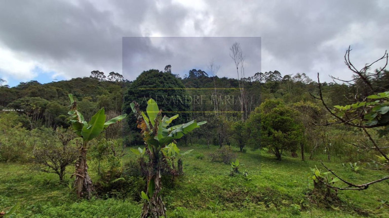 Imagem Chácara com 1 Quarto à Venda, 90 m² em Natividade Da Serra