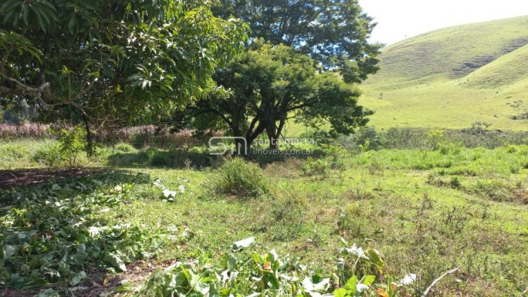 Imagem Imóvel com 4 Quartos à Venda, 150 m² em Pedroso - Lorena Imagem Imóvel com 4 Quartos à Venda, 150 m² em Pedroso - Lorena