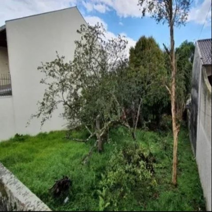 Imagem Terreno à Venda, em Tingui - Curitiba Imagem Terreno à Venda, em Tingui - Curitiba