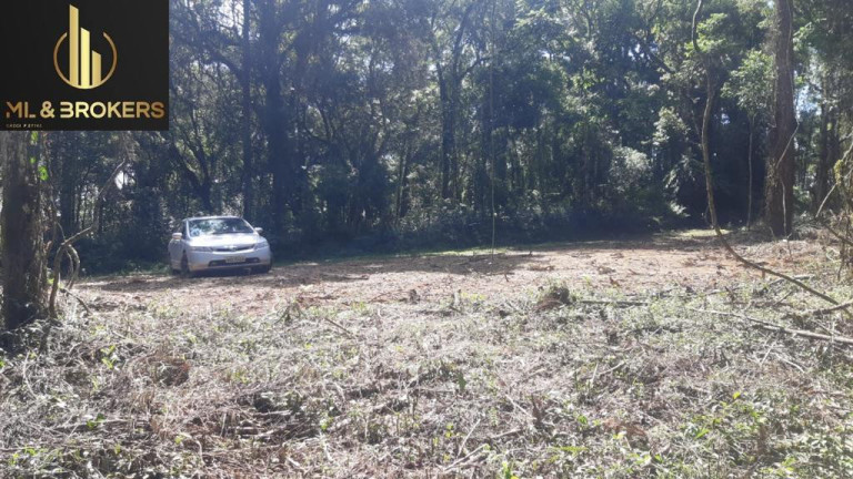 Imagem Imóvel à Venda, 20.000 m² em Quitandinha - Quitandinha Imagem Imóvel à Venda, 20.000 m² em Quitandinha - Quitandinha