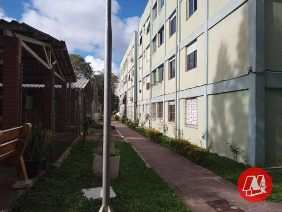 Imagem Apartamento com 1 Quarto à Venda, 40 m² em Camaquã - Porto Alegre Imagem Apartamento com 1 Quarto à Venda, 40 m² em Camaquã - Porto Alegre
