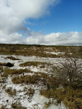 Imagem Fazenda à Venda, 200.000 m² em Zona Rural - Mucugê
