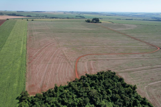 Imagem Fazenda à Venda, 540 m² em Zona Rural - Munhoz De Melo