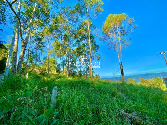 Imagem Terreno à Venda, 1.000 m² em Centro - Extrema Imagem Terreno à Venda, 1.000 m² em Centro - Extrema