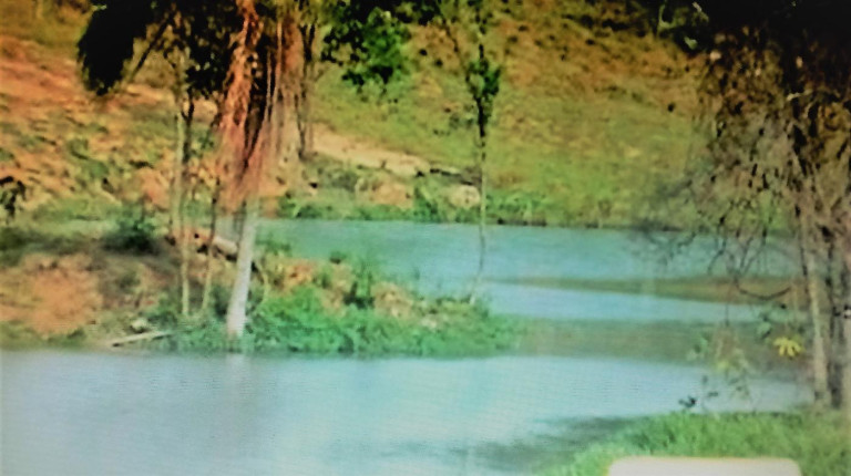 Imagem Fazenda à Venda, 111 m² em Rural - Amparo Imagem Fazenda à Venda, 111 m² em Rural - Amparo