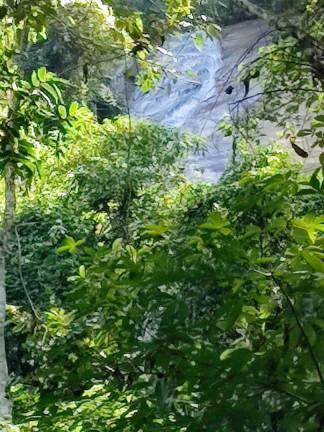 Imagem Imóvel com 4 Quartos à Venda, 194.840 m² em Ponte Nova - Teresópolis