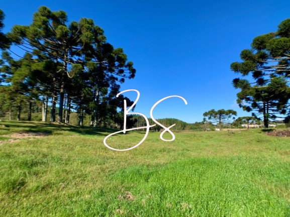 Imagem Imóvel com 2 Quartos à Venda, 40.000 m² em Serra Grande - Gramado