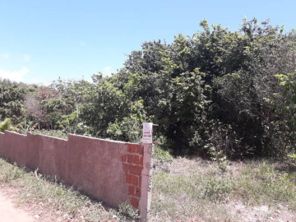 Imagem Terreno à Venda, 3.000 m² em Praia Da Pipa - Tibau Do Sul Imagem Terreno à Venda, 3.000 m² em Praia Da Pipa - Tibau Do Sul