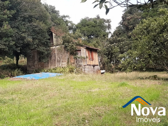Imagem Imóvel à Venda, 120.000 m² em Linha Pirajá Baixa - Nova Petrópolis Imagem Imóvel à Venda, 120.000 m² em Linha Pirajá Baixa - Nova Petrópolis