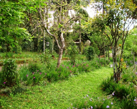 Imagem Imóvel com 2 Quartos à Venda, 232 m² em Vila Olinda - Nova Petrópolis Imagem Imóvel com 2 Quartos à Venda, 232 m² em Vila Olinda - Nova Petrópolis